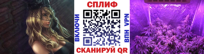 Какие есть наркотики Богучар Канабис  Меф  blacksprut зеркало  ГАШ  КОКАИН  A PVP 