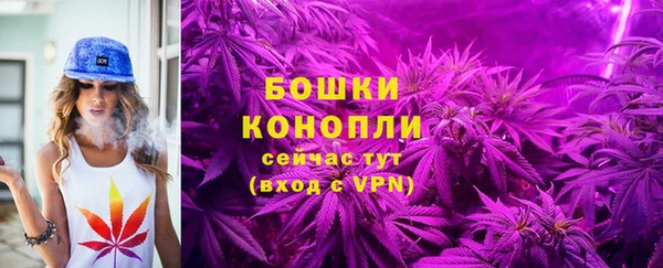 стафф Белокуриха