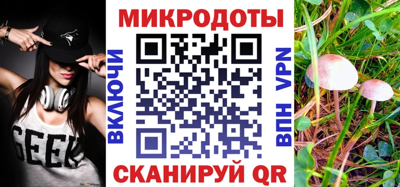 где можно купить   Богучар  Галлюциногенные грибы Cubensis 