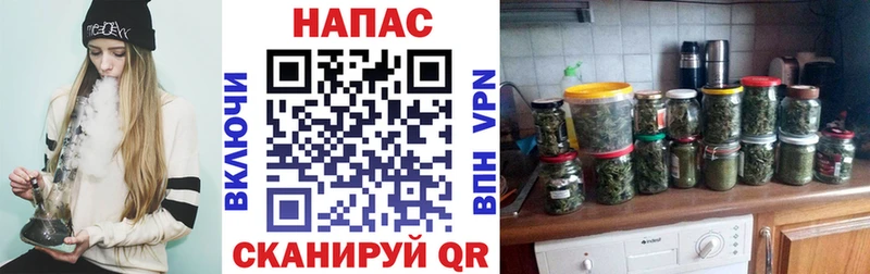 blacksprut ТОР  Богучар  Каннабис индика 